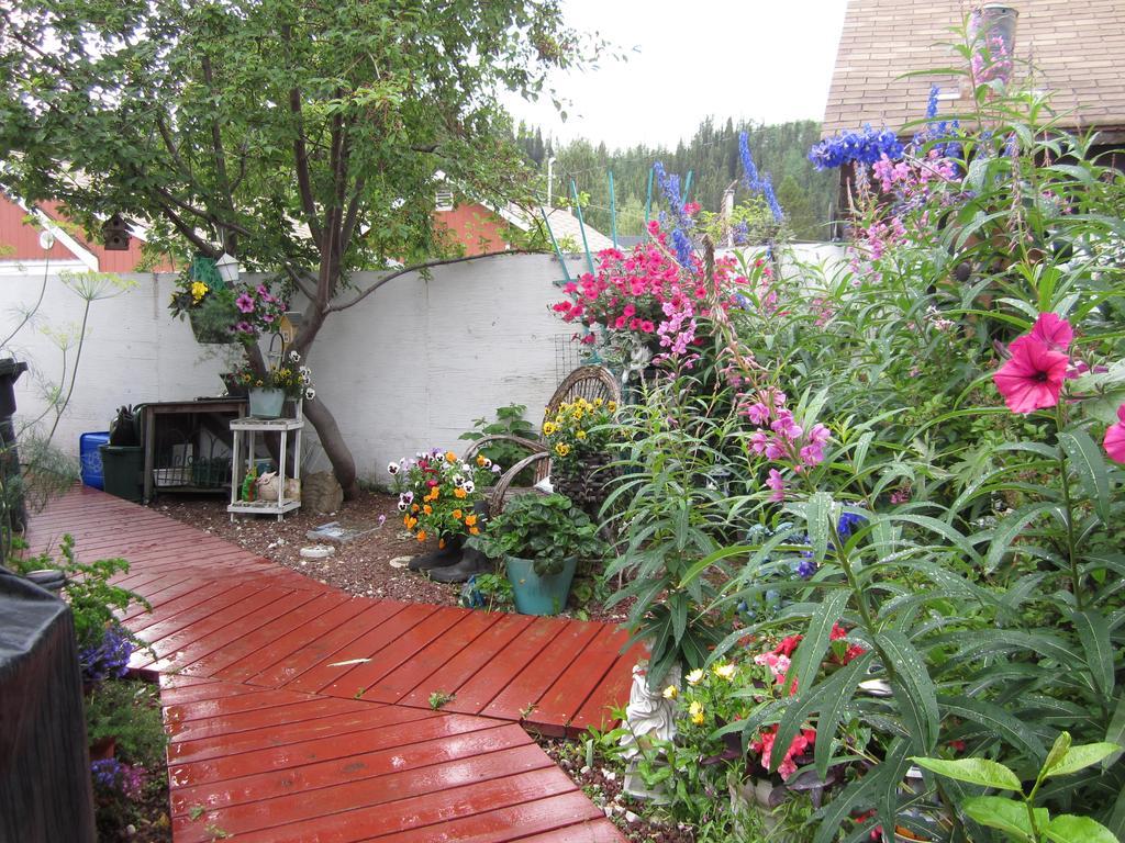 Casey'S Bed & Breakfast Whitehorse Camera foto